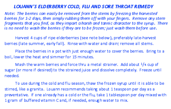 Louann's Cold Remedy