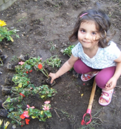 Child in garden 2