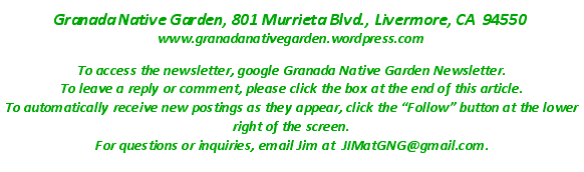 Screen shot 2014-04-17 at 8.05.51 AM