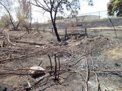 Location of the Homeless Encampment