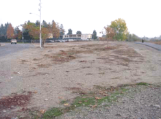 The Granada Native Garden in December, 2002