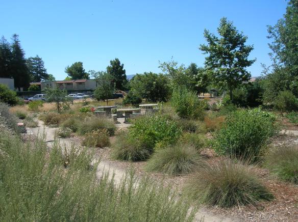 The Garden in June, 2012