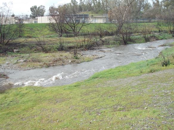 The Arroyo Mocho, February 2015