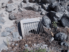Water from the Arroyo Mocho enters the original channel at this point under the iron bridge.